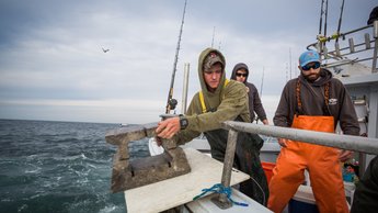 JHOUS-OceanCityReefFoundation_04.jpg