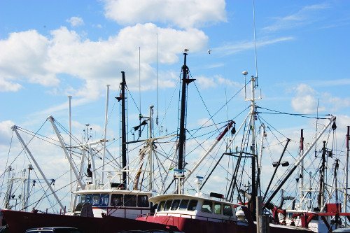 Mid-Atlantic Fishery Management Council Meeting