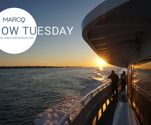 Video Rewind: AIS Vessel Traffic Data Webinar