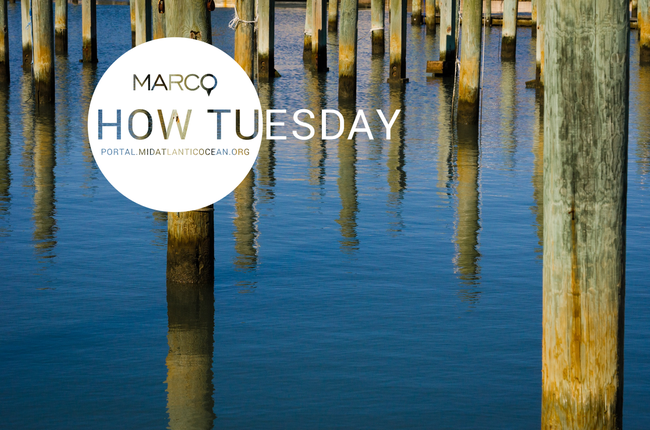 June How Tuesday: Open Tutorial