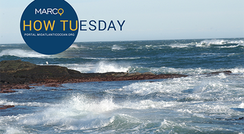 June 2024 How Tuesday: Intro to the Portal