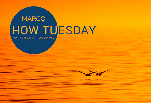 November How Tuesday: Marine Life Data