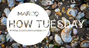 November 2023 How Tuesday: Intro to the Portal