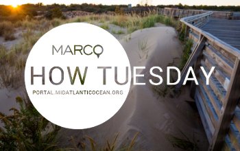 How Tuesday Webinar: Intro to the Portal