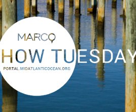 Video Rewind: March How Tuesday