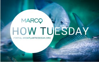 September How Tuesday