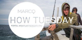 How Tuesday Webinar: Intro to the Portal