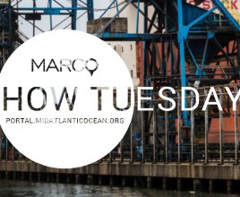 Video Rewind: January 2018 How Tuesday