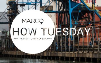 How Tu Use Marine Planner’s Tools