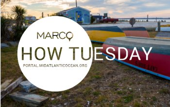 January How Tuesday: Open Tutorial