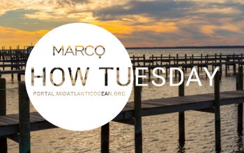 How Tuesday Webinar: Intro to the Portal