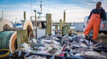 Commercial Fishing Footprints, Transit Density Data Now Online