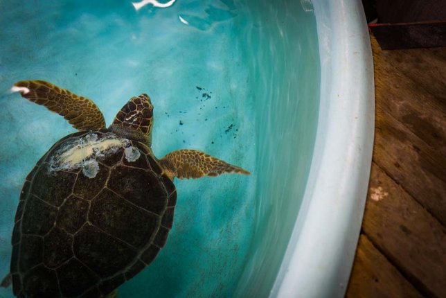 Virginia Mid-Atlantic Ocean Action Plan Open House