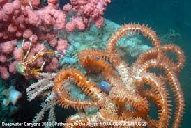 MidA RPB Ecologically Rich Areas Workshop