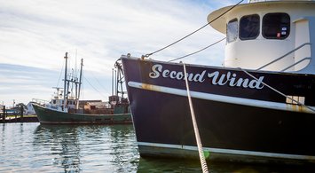 Watch: November 2025 'How Tuesday' Fishing Data Webinar