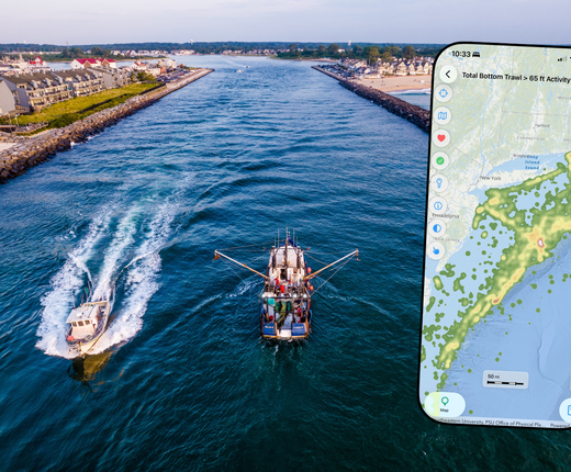 Download Version 2 of Portal Mobile App for iOS and Android