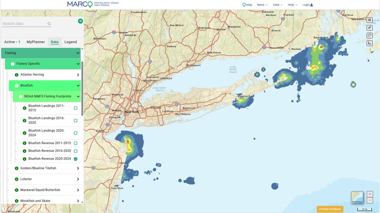A map showing areas in the New York Bight where bluefish revenues were generated from 2020-2024.