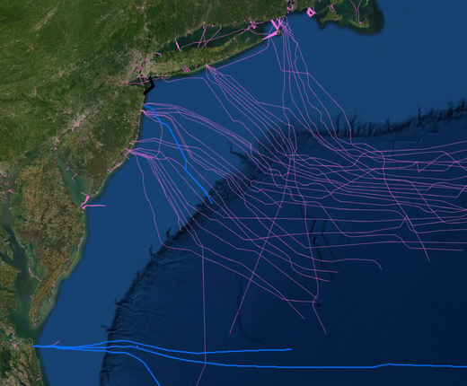 Submarine Cable Areas Map Consolidates Data from NASCA and NOAA Chart Layers