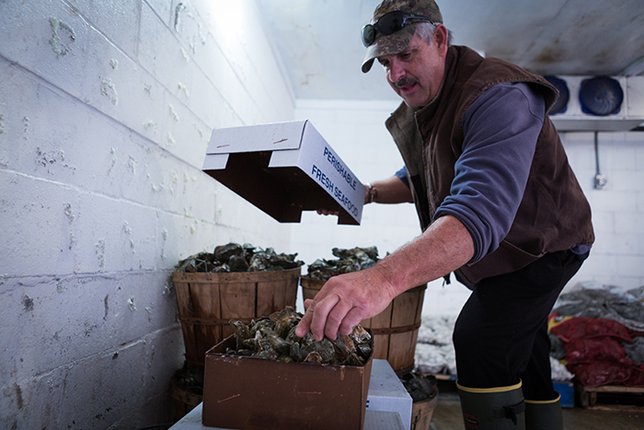 Webinar: Ocean Acidification Perspectives from Shellfish Industry