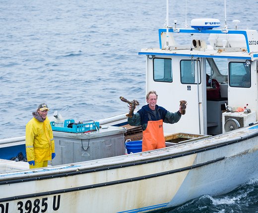 Introducing the New Fishing Theme