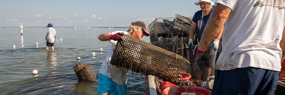 del aquaculture farmers sm