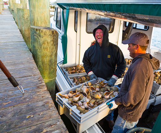 Browse 1,000 Commercial Fishing Maps in Marine Planner