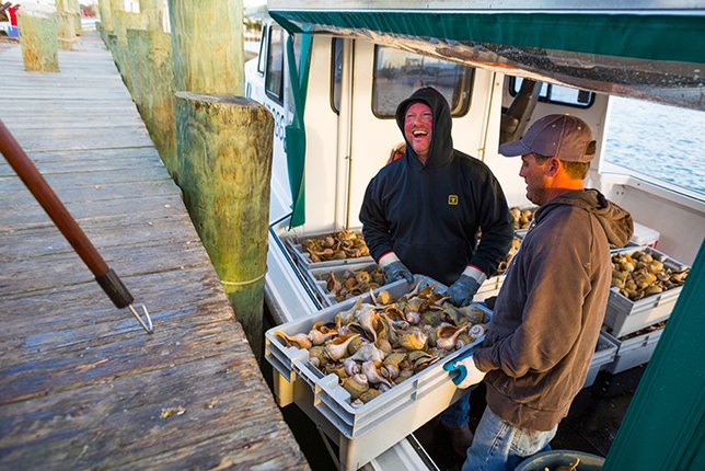 Webinar: Ocean Acidification Impacts to Ecology in the Mid-Atlantic 