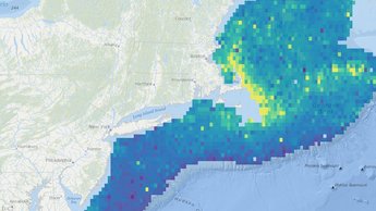 Marine Life Data Updated with New Maps, Recent Observations