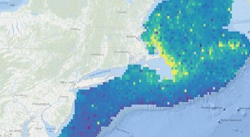 Marine Life Data Updated with New Maps, Recent Observations