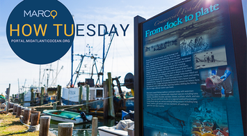 Video Rewind: Communities at Sea & Fishing Webinar