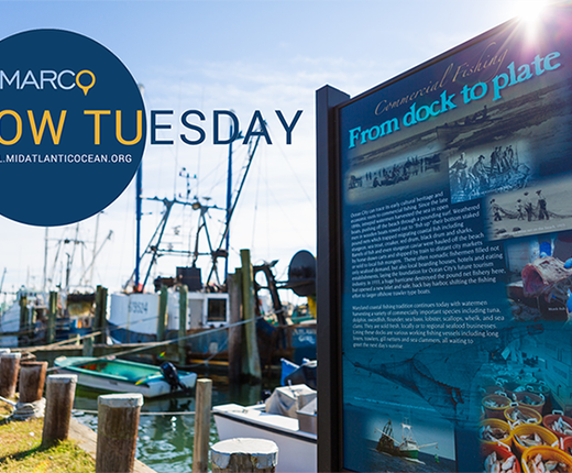 Video Rewind: Communities at Sea & Fishing Data How Tuesday