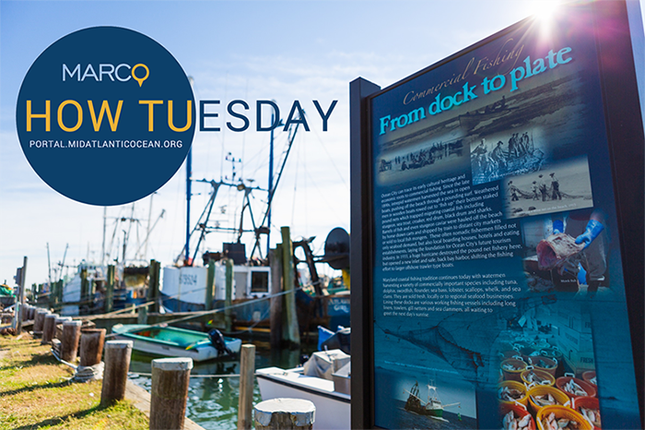 How Tuesday: Communities at Sea & Fishing Data