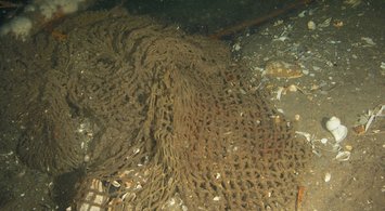 Map Collection Models Fishing Effects to Sea Bottom