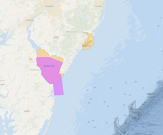 Habitat Areas of Particular Concern (HAPC) for Seven Fish Species and Groups Now Available