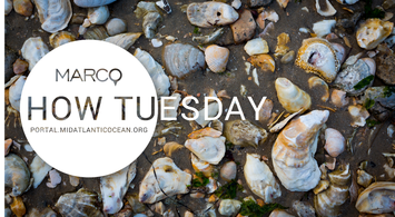 Watch: Coastal and Ocean Acidification Monitoring Data Webinar