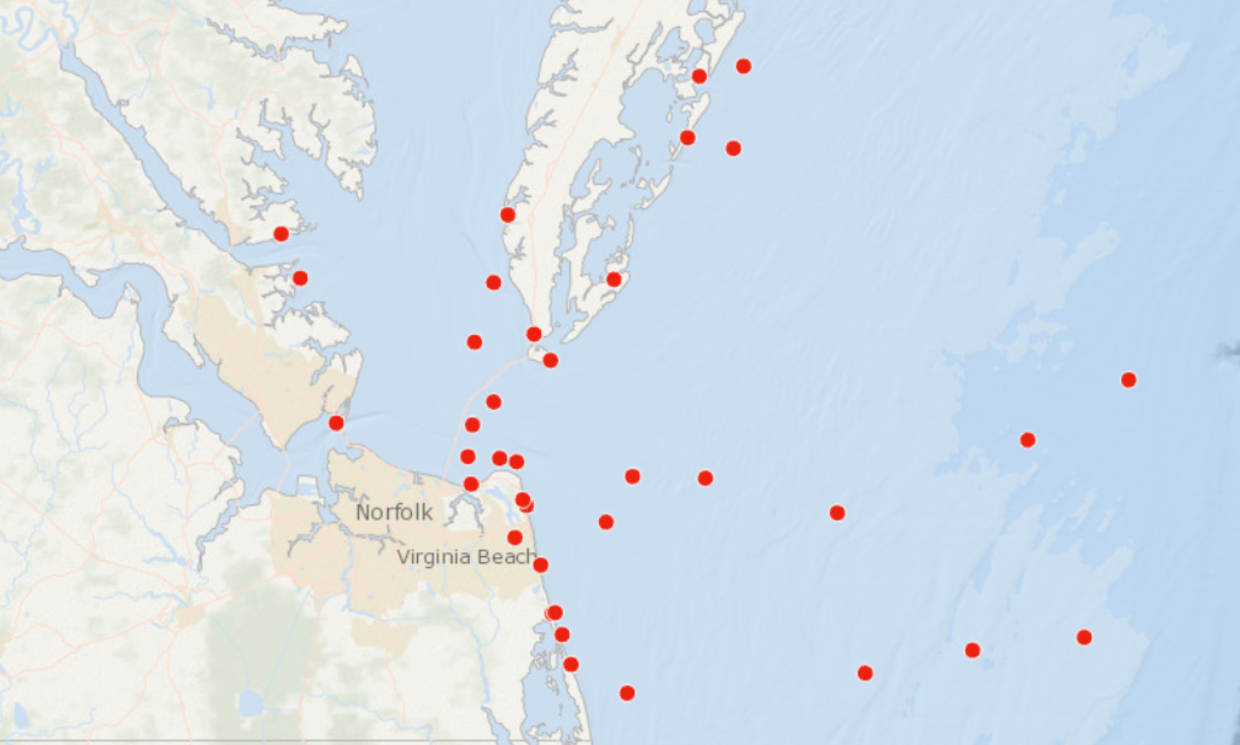 humpback whale strandings