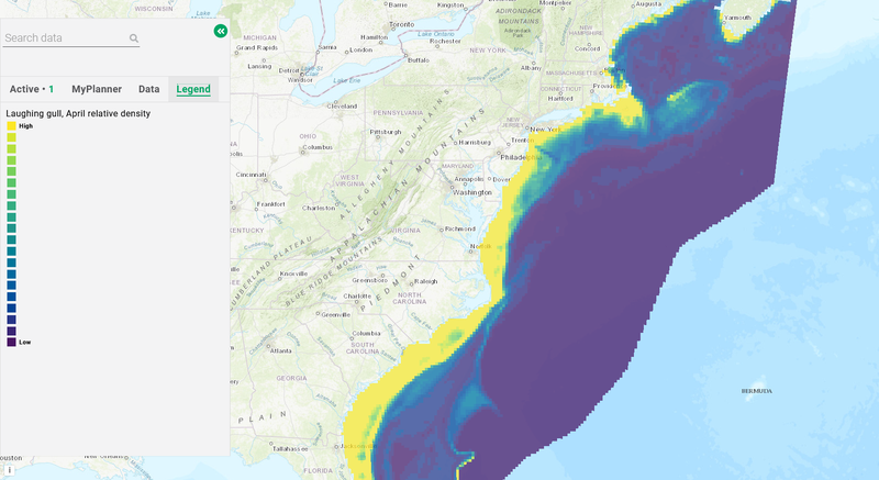 A map showing laughing gull realtive density in the month of April.