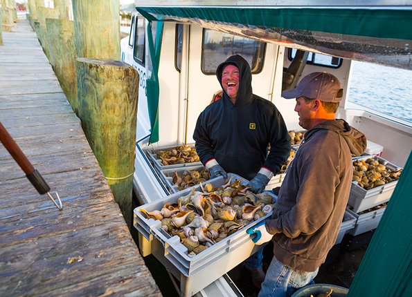 MARCO Improves Fishing Map Collection with Insights from Industry