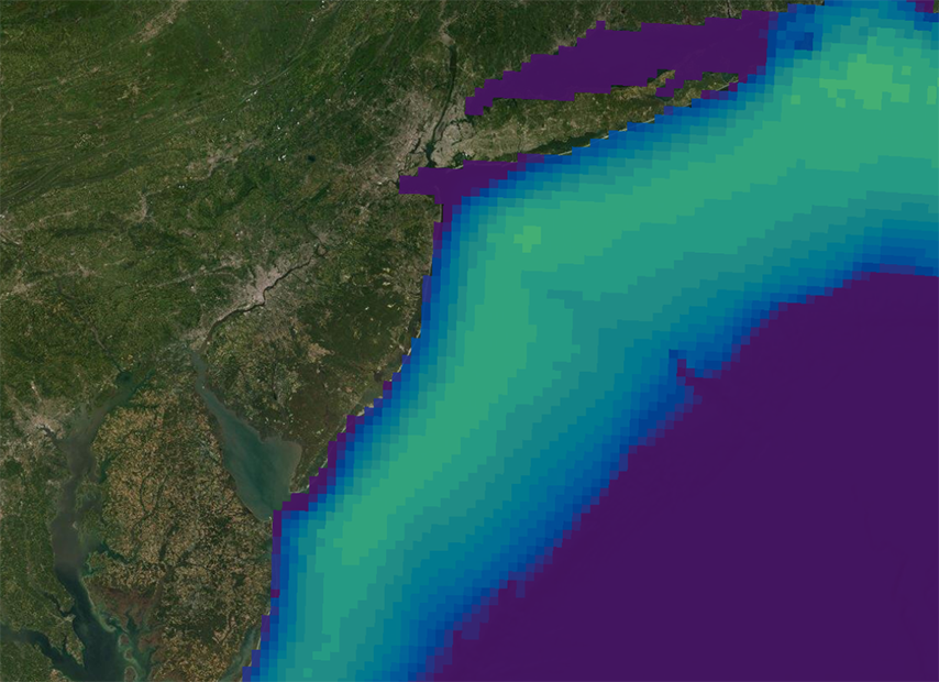 right whales april 4-22