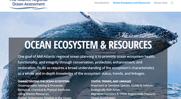 Video Rewind: The ROA & the Portal