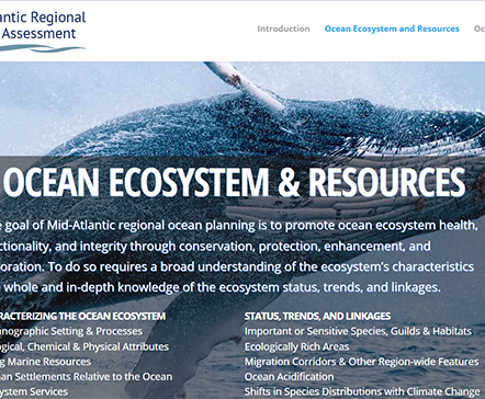 Regional Ocean Assessment Now Online