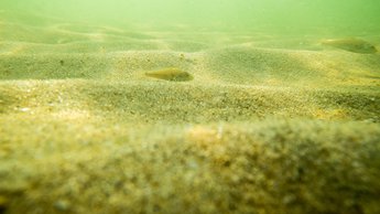 sandy sea bottom