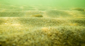 New Maps Depict Probability of Six Substrate Types Along Seafloor