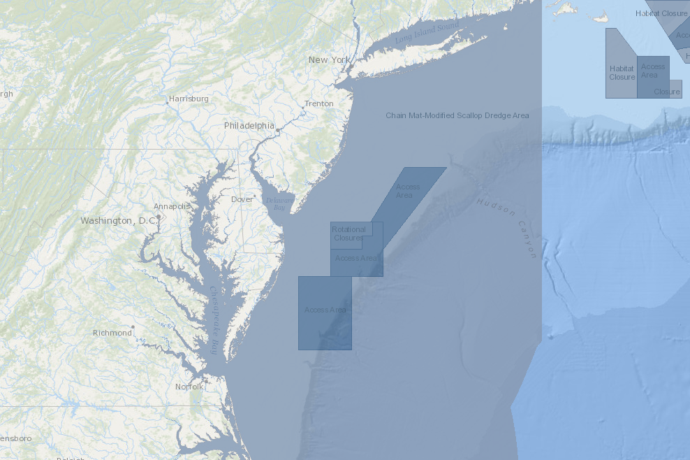 scallop management areas