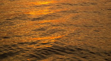 Marine Heatwaves and Highly Migratory Species Hotspots of Change